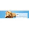 27aee7a62ce30a6afae05143bc40aea2.webp Puppy Teething Ring Chicken 16kg