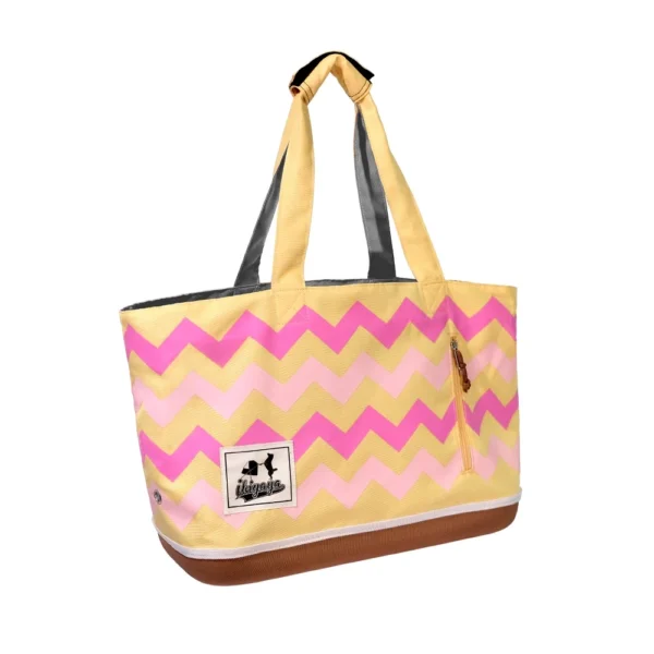 Color Play Pet Carrier